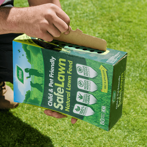 Westland Horticulture Lawn Care Products Westland Safe Lawn Feed 80m2
