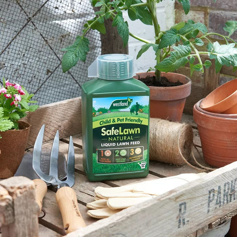 Westland Horticulture Lawn Feed Westland SafeLawn Liquid Lawn Feed 1L