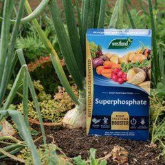Westland Horticulture Garden Plant Feeds Westland Superphosphate 105kg