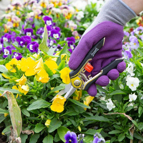 Wilkinson Sword Garden Tools Wilkinson Sword Precision Snips