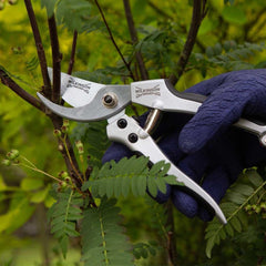 Wilkinson Sword Bypass Pruners Wilkinson Sword Pruner Deluxe Bypass Boxed