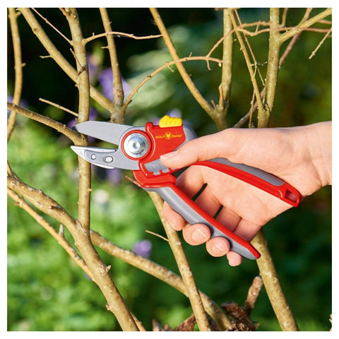 Wolf Garten Hand Tools Wolf Garten Premium Plus Anvil Secateurs