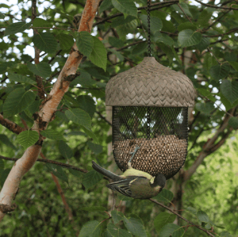 Woodlodge Bird Feeders Woodlodge Acorn Birdfeeder Small