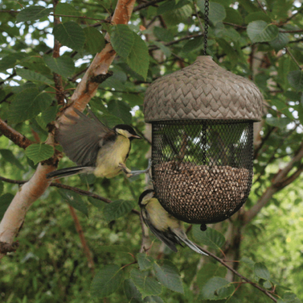 Woodlodge Acorn Birdseed Feeder Large Trowell Garden Centre
