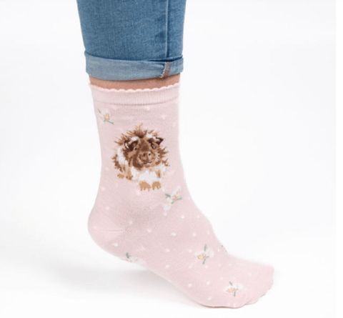 Wrendale Designs Gift Ware Wrendale' Grinny Pig' Guinea Pig Socks