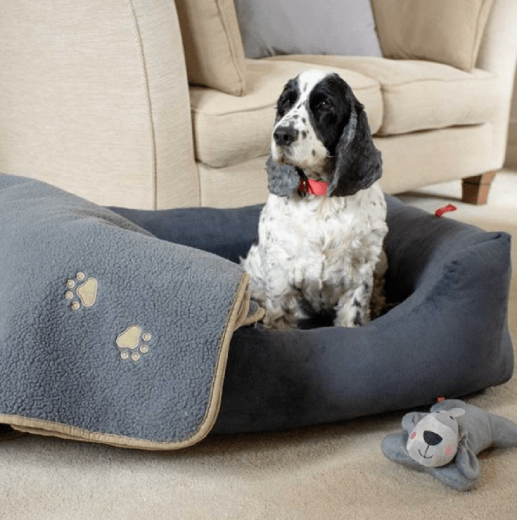 Zoon Charcoal Grey Velour Square Dog Bed Trowell Garden Centre
