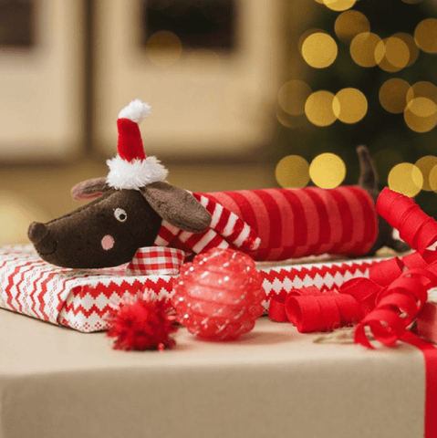 Zoon Dog Toys Zoon Festive Frankie Sausage Dog PlayPal Dog Toy
