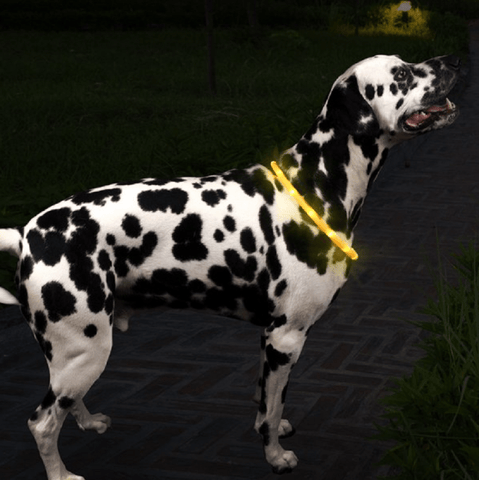 Zoon Dog Apparel Zoon Flash & Go Rechargeable 'See-Dog' Ring