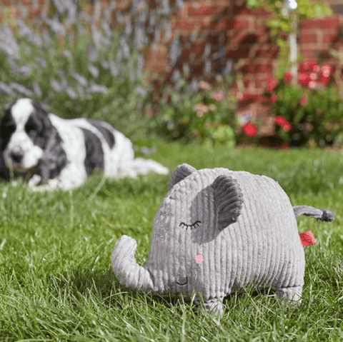 Zoon Dog Toys Zoon Junior Jumbo Dog Toy