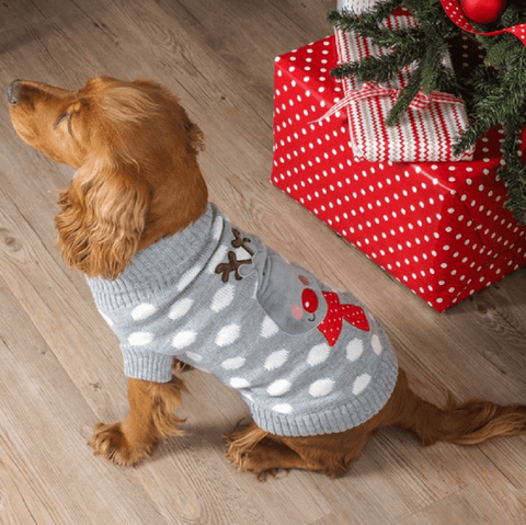 Zoon Dog Apparel Zoon Polka Rudolph Dog Jumper