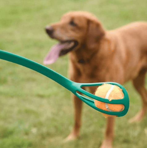 Zoon Dog Toys Zoon Pooch Mini-Ball Launcher