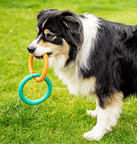 Zoon Dog Toys Zoon Rubber Links Dog Toy