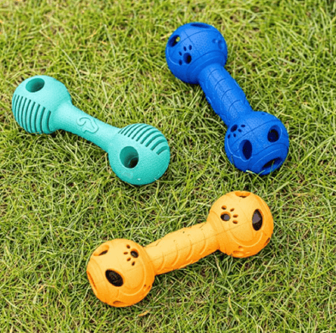 Zoon Dog Toys Zoon Rubber Squeaky GumBell Dog Toy