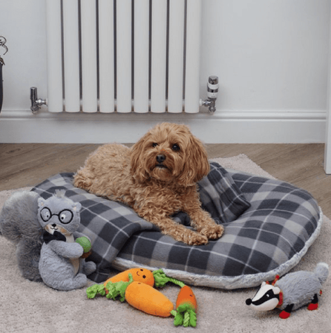 Zoon Dog Beds & Mattresses Zoon TuffEarth Recycled Fleece Oval Cushion Grey