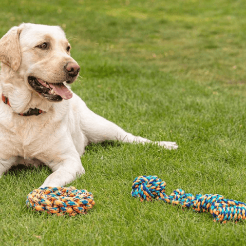 Zoon Dog Toys Zoon Uber Activ Rope Chukker Dog Toy